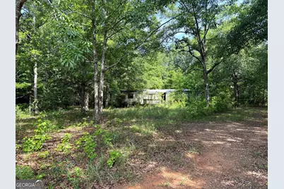 2391 Chalybeate Road, Manchester, GA 31816 - Photo 11