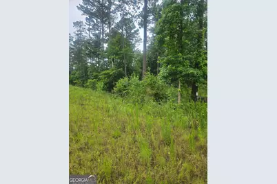 2755 Peeksville, Locust Grove, GA 30248 - Photo 13