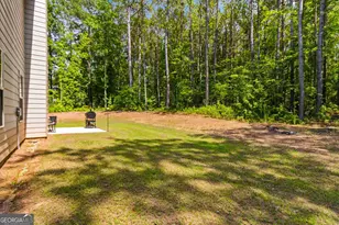 3500 Peeksville Rd, Locust Grove, GA 30248 - Photo 35