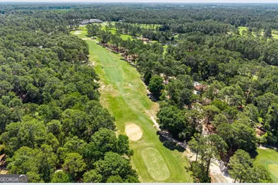 30 Forest Pine Drive, Statesboro, GA 30458 - Photo 89