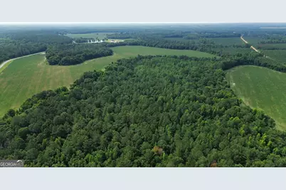1665 Walke Dairy Road, Dublin, GA 31021 - Photo 31