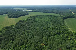 1665 Walke Dairy Rd, Dublin, GA 31021 - Photo 31