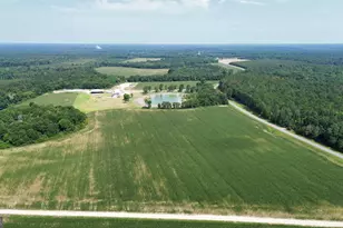 1665 Walke Dairy Rd, Dublin, GA 31021 - Photo 39