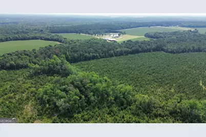 1665 Walke Dairy Road, Dublin, GA 31021 - Photo 25