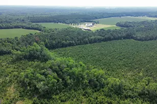 1665 Walke Dairy Rd, Dublin, GA 31021 - Photo 25