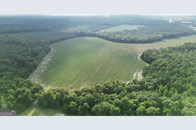 1665 Walke Dairy Road, Dublin, GA 31021 - Photo 19