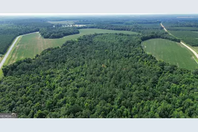 1665 Walke Dairy Road, Dublin, GA 31021 - Photo 29