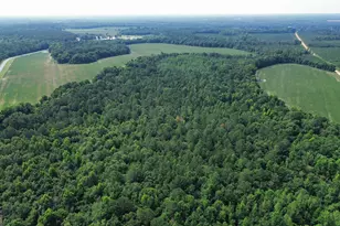 1665 Walke Dairy Rd, Dublin, GA 31021 - Photo 29