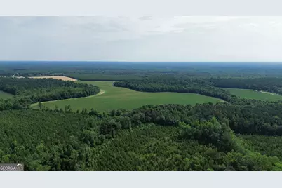 1665 Walke Dairy Road, Dublin, GA 31021 - Photo 27