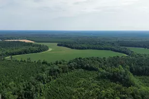 1665 Walke Dairy Rd, Dublin, GA 31021 - Photo 27