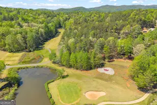 65 Vienna Ring, Helen, GA 30545 - Photo 37