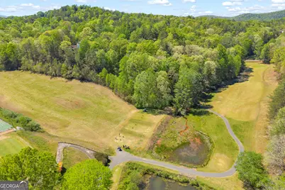 65 Vienna Ring, Helen, GA 30545 - Photo 33