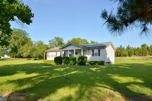 1208 E Chicken Rd, Chester, GA 31012 - Photo 3