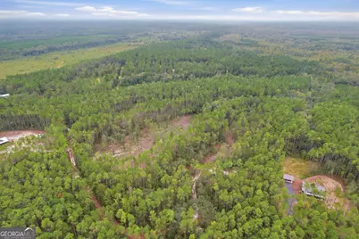 Vacant Lot 2 South Bluff Road, White Oak, GA 31568 - Photo 5