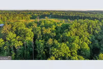 259 Garner Road, Buchanan, GA 30113 - Photo 69