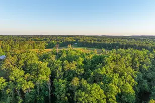 259 Garner Rd, Buchanan, GA 30113 - Photo 69