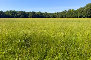 259 Garner Rd, Buchanan, GA 30113 - Photo 99