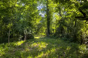 259 Garner Rd, Buchanan, GA 30113 - Photo 97