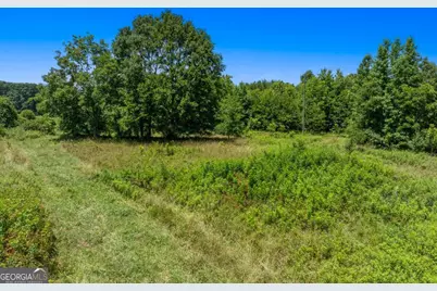 586 Grady School Road, Canon, GA 30520 - Photo 45