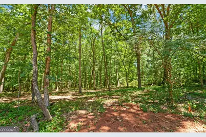 114 Blossom Trail, Lavonia, GA 30553 - Photo 3