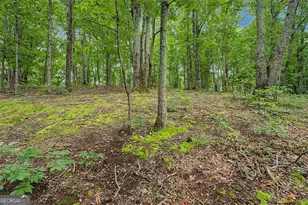 1230 Redbud Dr, Marietta, GA 30062 - Photo 33