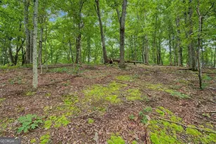 1230 Redbud Dr, Marietta, GA 30062 - Photo 35