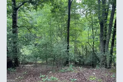 00 Ben Higgins Road, Dahlonega, GA 30533 - Photo 11