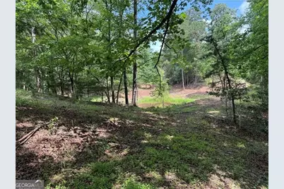 00 Ben Higgins Road, Dahlonega, GA 30533 - Photo 19
