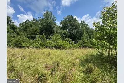 00 Ben Higgins Road, Dahlonega, GA 30533 - Photo 15