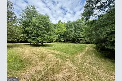 1298 Ray Weaver Road, Canon, GA 30520 - Photo 35