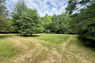 1298 Ray Weaver Rd, Canon, GA 30520 - Photo 35