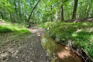 1298 Ray Weaver Rd, Canon, GA 30520 - Photo 39