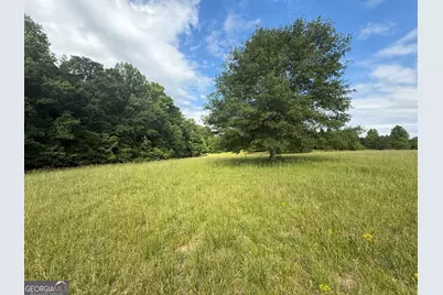 1298 Ray Weaver Road, Canon, GA 30520 - Photo 33