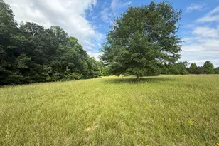 1298 Ray Weaver Rd, Canon, GA 30520 - Photo 33