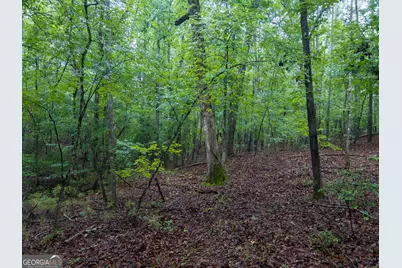 240 Pebble Hill Road SE, Milledgeville, GA 31061 - Photo 17