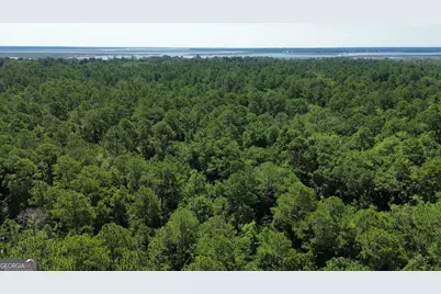 183 Sunrise Drive, Woodbine, GA 31569 - Photo 11