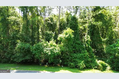 183 Sunrise Drive, Woodbine, GA 31569 - Photo 1