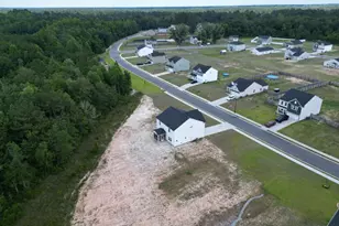 82 Tatum Trl NE, Ludowici, GA 31316 - Photo 47