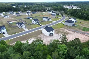 82 Tatum Trl NE, Ludowici, GA 31316 - Photo 49