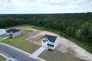 82 Tatum Trl NE, Ludowici, GA 31316 - Photo 43