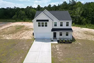 82 Tatum Trl NE, Ludowici, GA 31316 - Photo 1