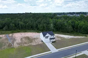 82 Tatum Trl NE, Ludowici, GA 31316 - Photo 45