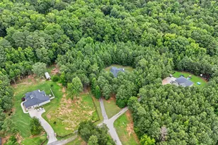 3534 S Hwy 29, Moreland, GA 30259 - Photo 51