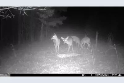 2807 Cedar Creek Rd, Elberton, GA 30635 - Photo 5