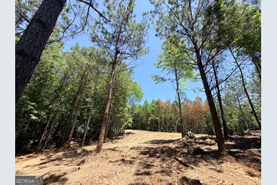 2807 Cedar Creek Rd, Elberton, GA 30635 - Photo 43