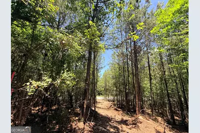 2807 Cedar Creek Rd, Elberton, GA 30635 - Photo 21