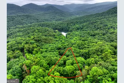 415 Walnut Mountain Road, Ellijay, GA 30536 - Photo 33