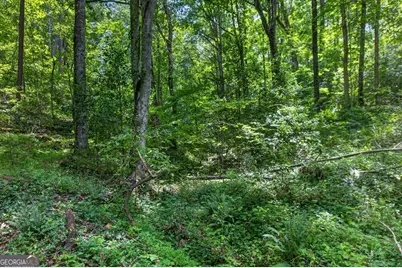 1965 Highway 52 E, Ellijay, GA 30536 - Photo 43