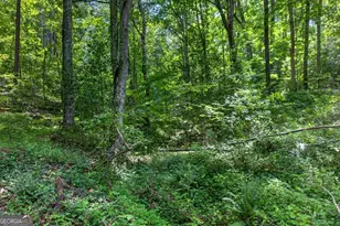 1965 Hwy 52 E, Ellijay, GA 30536 - Photo 43