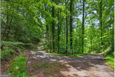 1965 Highway 52 E, Ellijay, GA 30536 - Photo 49